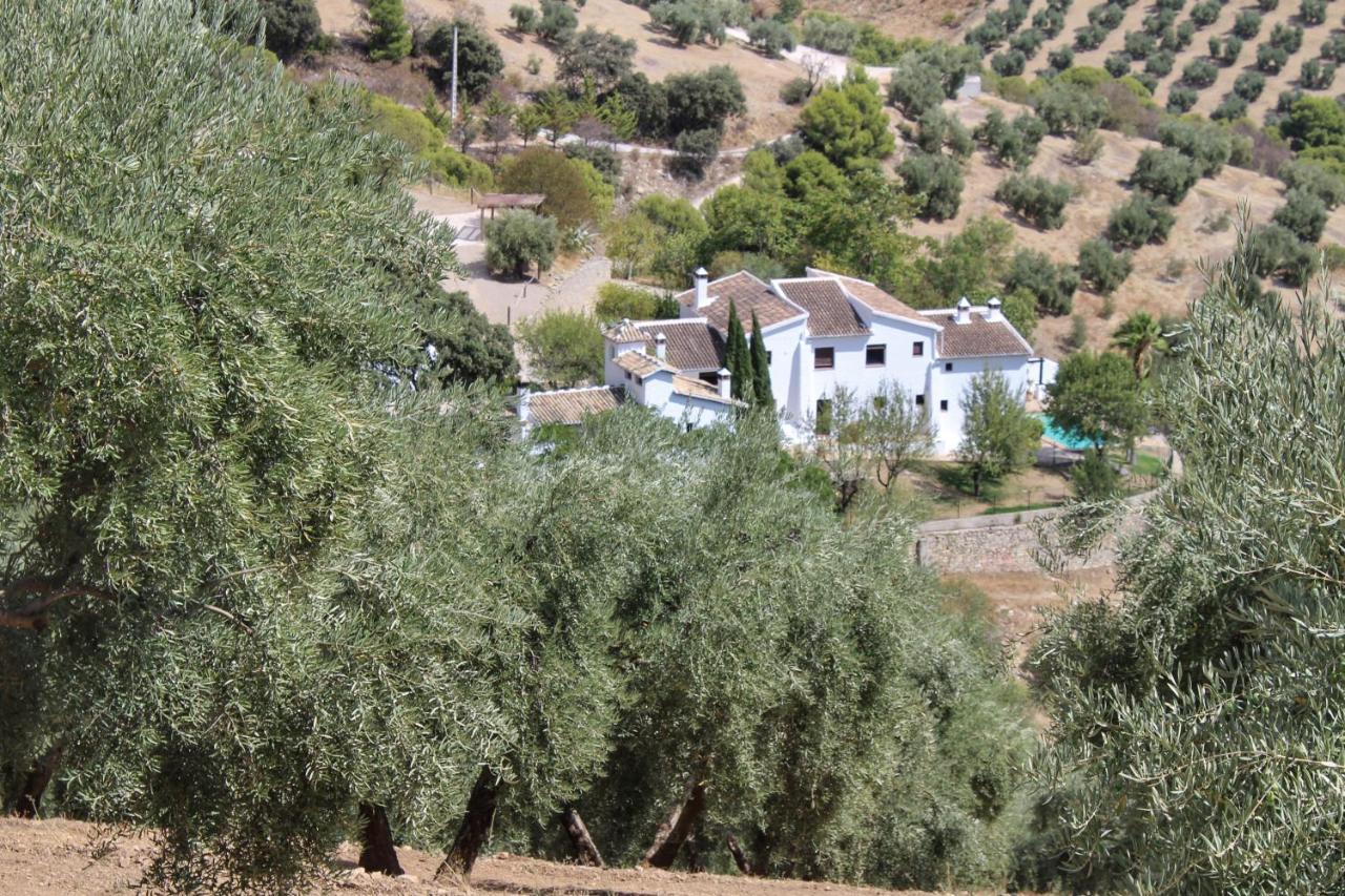 Cortijo La Fe Vendégház Montefrío Kültér fotó