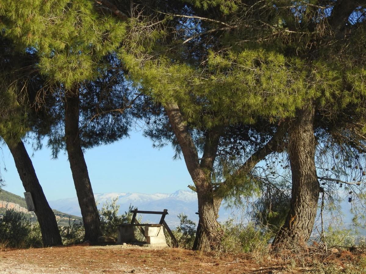 Cortijo La Fe Vendégház Montefrío Kültér fotó