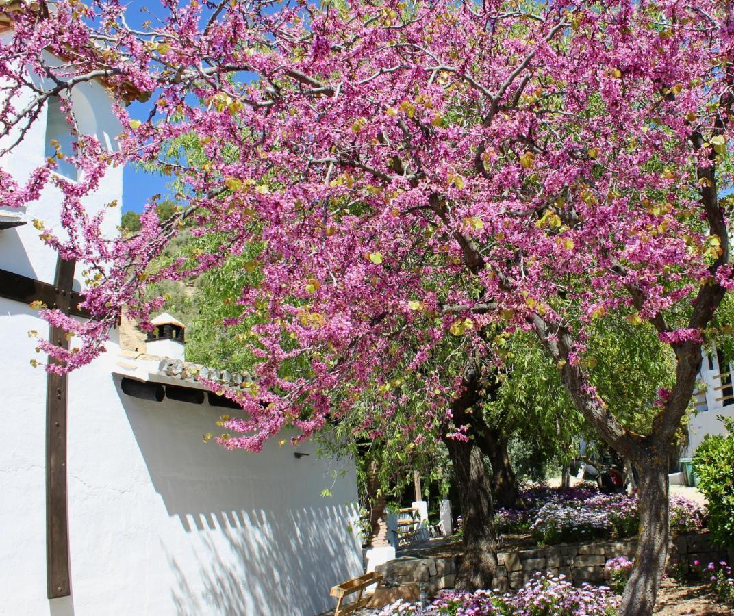 Cortijo La Fe Vendégház Montefrío Kültér fotó