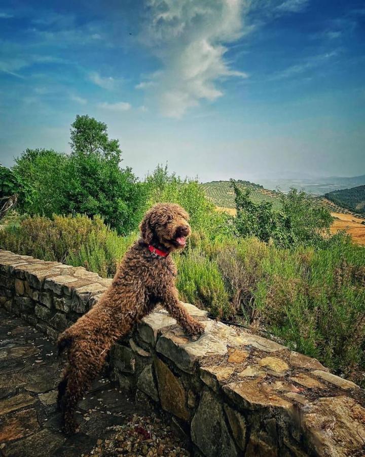 Cortijo La Fe Vendégház Montefrío Kültér fotó