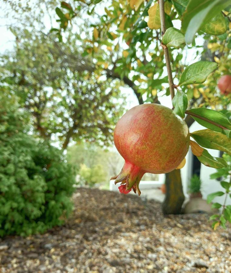 Cortijo La Fe Vendégház Montefrío Kültér fotó