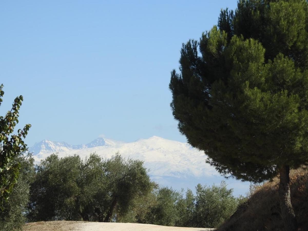 Cortijo La Fe Vendégház Montefrío Kültér fotó