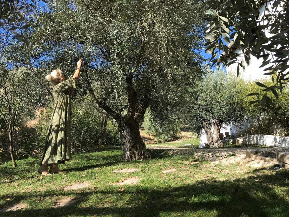 Cortijo La Fe Vendégház Montefrío Kültér fotó